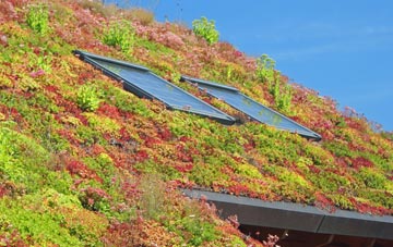 Little Saredon living roof systems