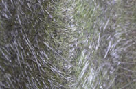 Little Saredon fibreglass roof work